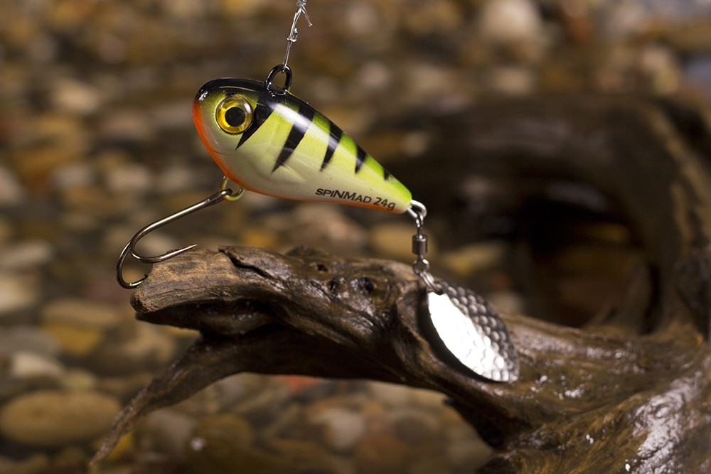 spinmad-jigmaster-24g