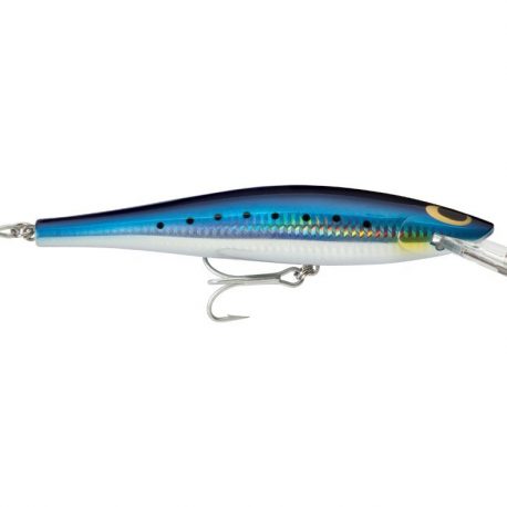 bsr-blue-sardine