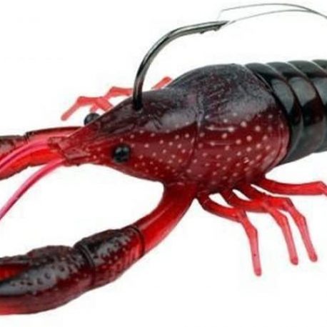 crayfish red