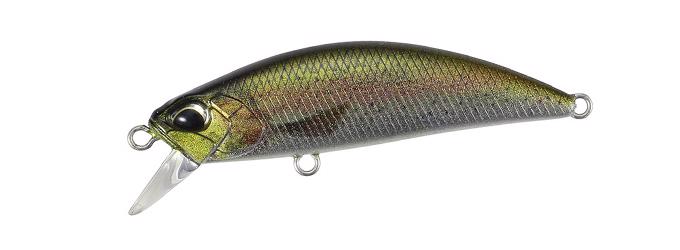 DUO SPEARHEAD RYUKI 50S 5cm 4.5gr CCC3836 Rainbow Trout ND