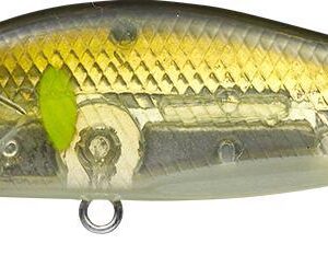 EVERGREEN NELMEZZO 50FS 5.0cm 5gr #12 FLASH AYU
