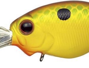 EVERGREEN WILDHUNCH 5.2cm 9.6gr #361 CITRUS CHART