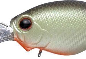EVERGREEN WILDHUNCH RATTLE IN 5.2cm 10.0gr #251 SECRET CHART