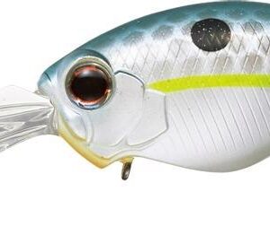 EVERGREEN WILDHUNCH 8 FOOTER 6.0cm 16.5gr #289 QUEEN SHAD