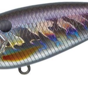 EVERGREEN BELCANTO 6.3cm 10gr #209 HOLOGRAM WAKASAGI