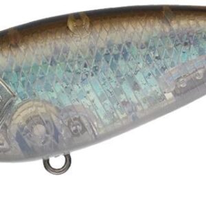 EVERGREEN BELCANTO 6.3cm 10gr #383 NEON WAKASAGI